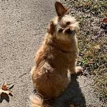 Thumbnail photo of Bruce #2