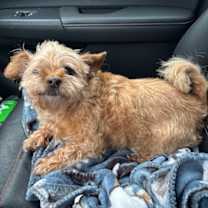 Thumbnail photo of Bruce #3