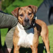 Thumbnail photo of Lola #1