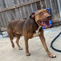 Thumbnail photo of Murdoch #4