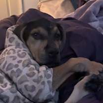 Thumbnail photo of Mila #4