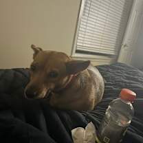 Thumbnail photo of Lillia #2