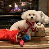 Thumbnail photo of Coconut #1