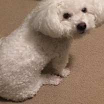 Thumbnail photo of Coconut #2