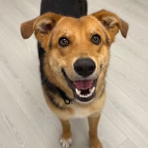 Thumbnail photo of Tharp #1