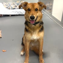 Thumbnail photo of Tharp #4