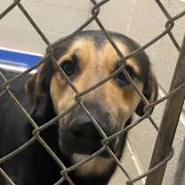 Thumbnail photo of Thunder - 100402T #3