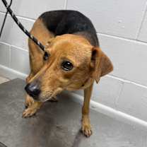 Thumbnail photo of Gravy #2