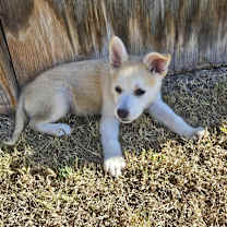 Thumbnail photo of Bunny #2