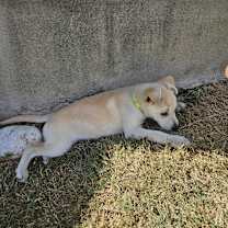 Thumbnail photo of Bunny #3