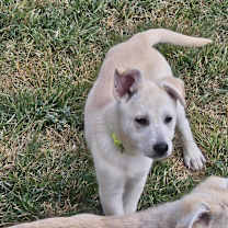 Thumbnail photo of Bunny #4