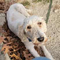 Thumbnail photo of Sasha - Missouri #2