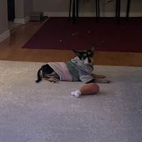 Thumbnail photo of Princess #15 #4