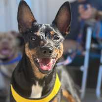 Thumbnail photo of Fred #1