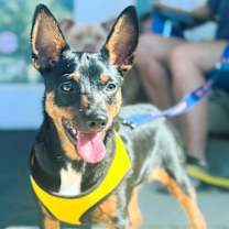 Thumbnail photo of Fred #2