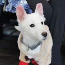 Thumbnail photo of Ice Cube #2