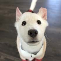 Thumbnail photo of Ice Cube #3