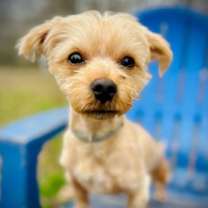 Thumbnail photo of Brownie Nov 25 #1