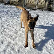 Thumbnail photo of Chewy #2