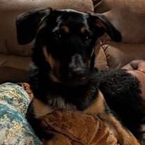 Thumbnail photo of Legend #1