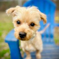 Thumbnail photo of Brownie Nov 25 #3