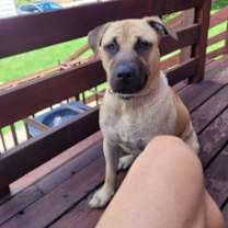 Thumbnail photo of Luke #3