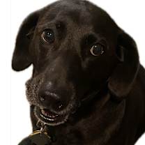 Thumbnail photo of Bitsy #1