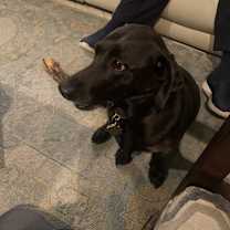 Thumbnail photo of Bitsy #3