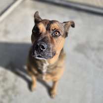 Thumbnail photo of Lucky #4