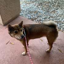 Thumbnail photo of London #3