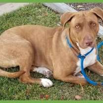 Thumbnail photo of Dakota #1