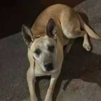 Thumbnail photo of Max #4