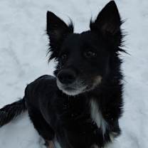 Thumbnail photo of Laina #2