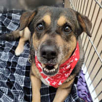 Thumbnail photo of Nana #1