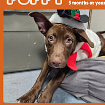 Thumbnail photo of Elphaba #1