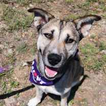 Thumbnail photo of Sasha JuM #1