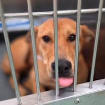 Thumbnail photo of Reign  #1