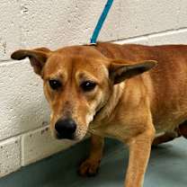 Thumbnail photo of Reign  #2