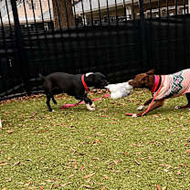 Thumbnail photo of Lenore #2