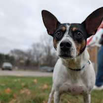 Thumbnail photo of Violet  #2