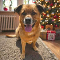 Thumbnail photo of Mason #2