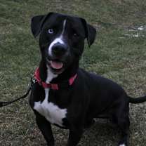 Thumbnail photo of Sophie #2