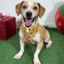 Thumbnail photo of Orange #3