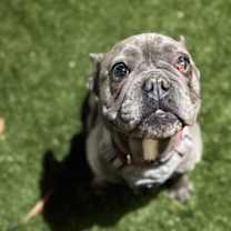 Thumbnail photo of Gwennie #1