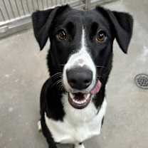 Thumbnail photo of Susan #1