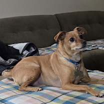 Thumbnail photo of Duncan #4