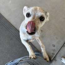 Thumbnail photo of Kramer #2