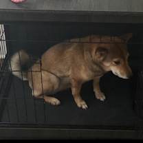 Thumbnail photo of London #4