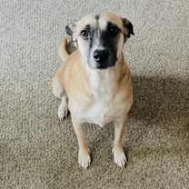 Thumbnail photo of Java #1