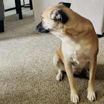 Thumbnail photo of Java #2